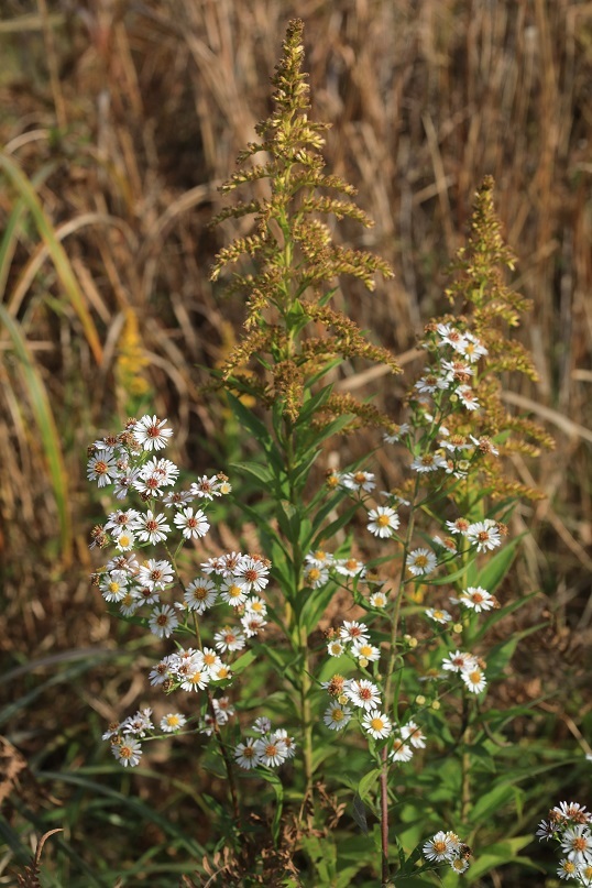 e0304170_19134688.jpg