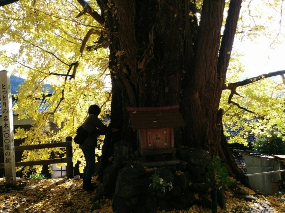 f0136675_20571184.jpg