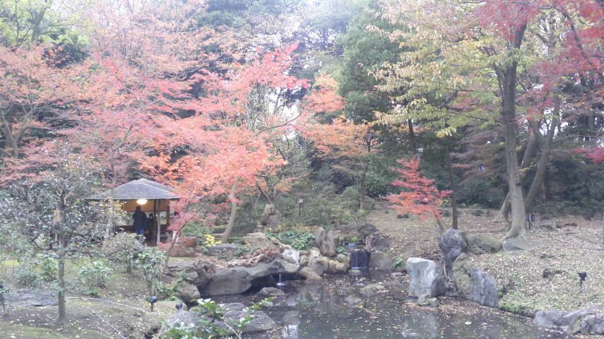 晩秋の紅葉を。_d0062076_17123770.jpg