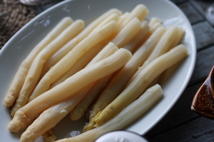 moustique ムスチーク/ 蚊_f0136579_00243522.jpg