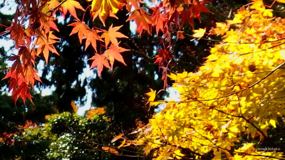 a0019082_23223794.jpg
