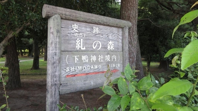 e0340485_17393059.jpg