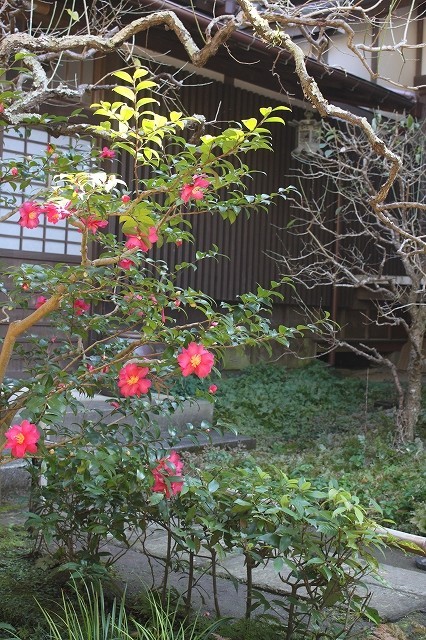 f0374092_16594074.jpg