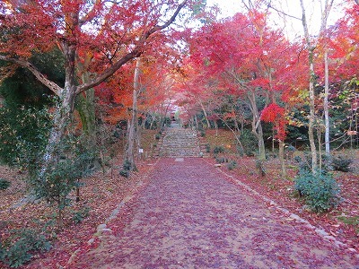 隠れた紅葉寺と虎丸_f0181394_11213899.jpg