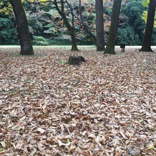 a0221795_14190106.jpeg