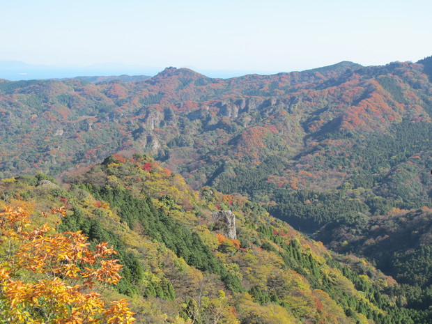 a0166196_2241266.jpg