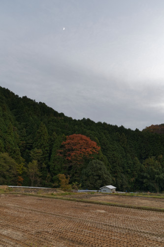 e0366896_22561588.jpg