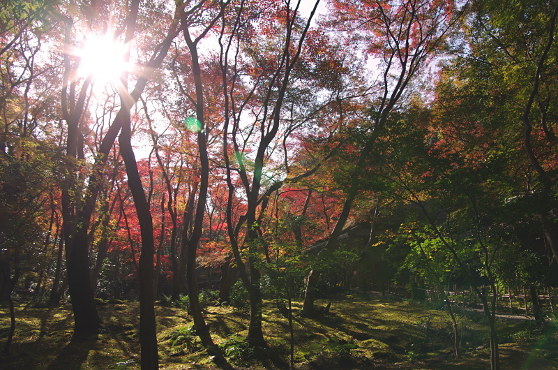 c0382798_18241969.jpg