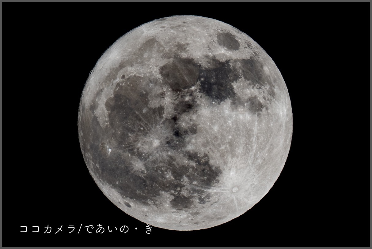 c0336400_23272254.jpg