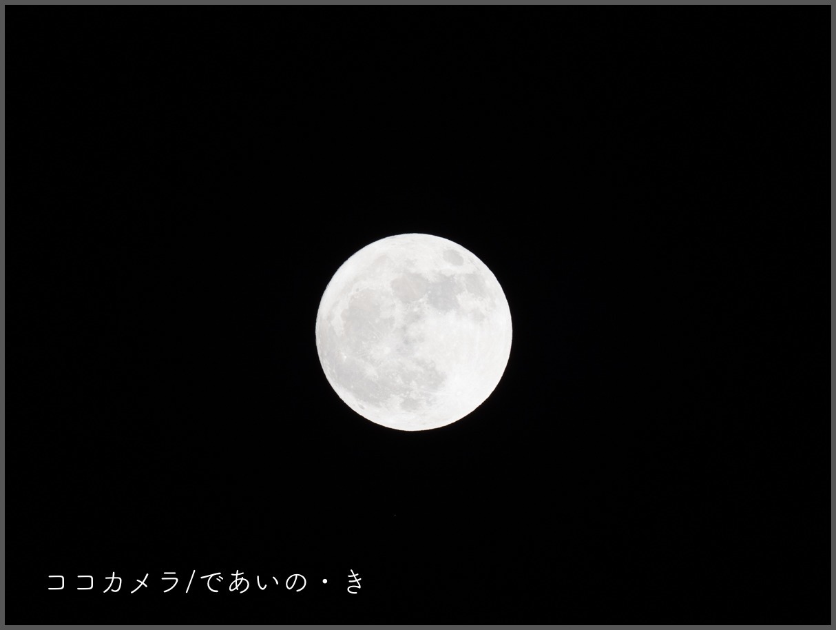 c0336400_23280336.jpg