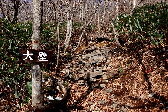 e0137200_21471876.jpg