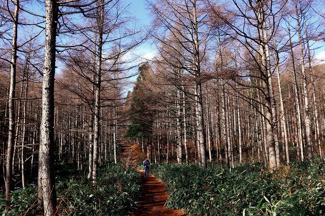 e0137200_21531458.jpg