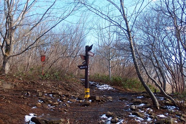 e0137200_21534337.jpg