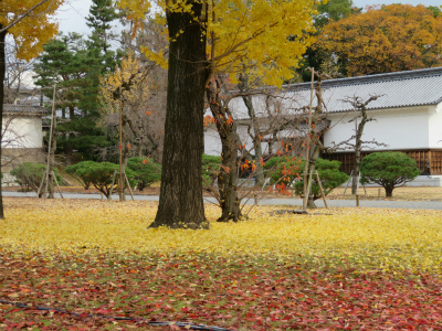 c0125501_23073169.jpg