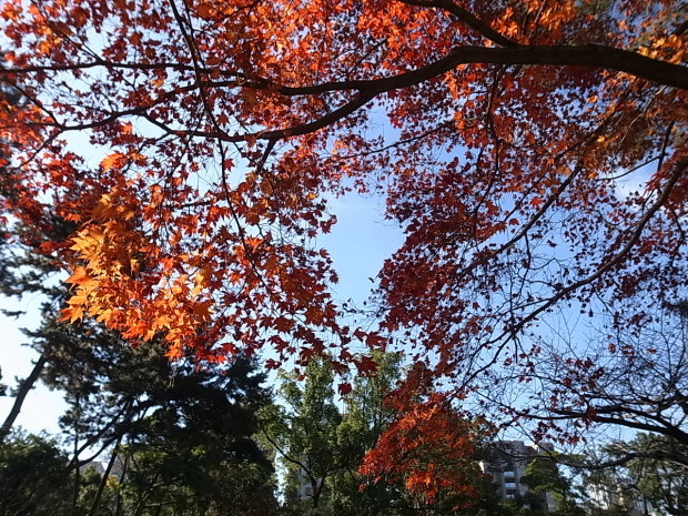 f0197703_19572209.jpg