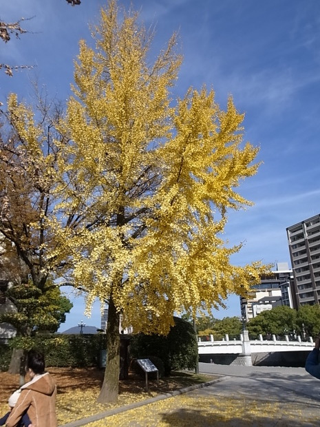 f0197703_20070649.jpg