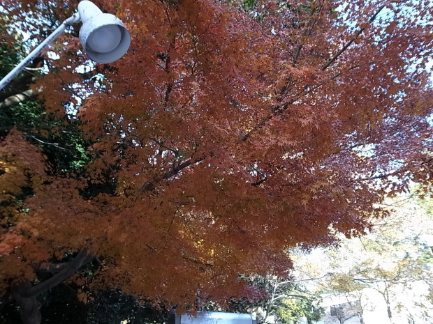 f0197703_20130284.jpg
