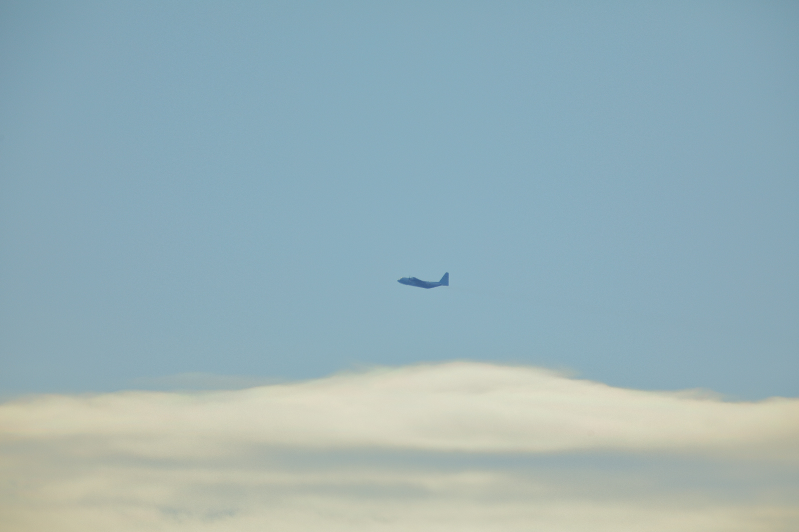 a0155104_15092820.jpg