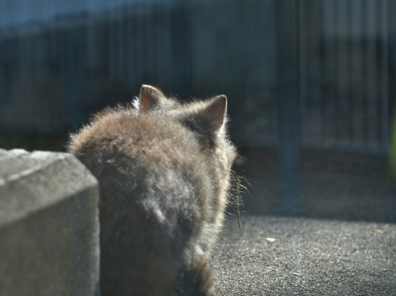 いつかまた、二人_a0164204_09171531.jpg