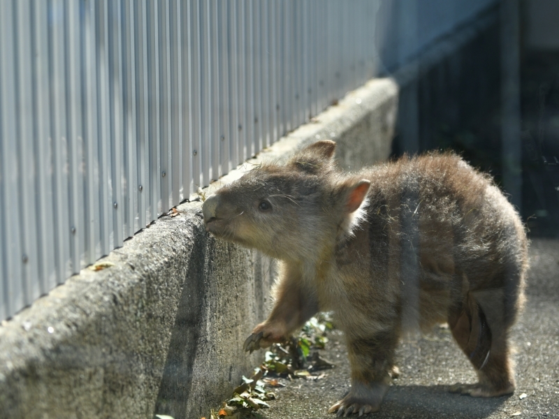 いつかまた、二人_a0164204_11100504.jpg