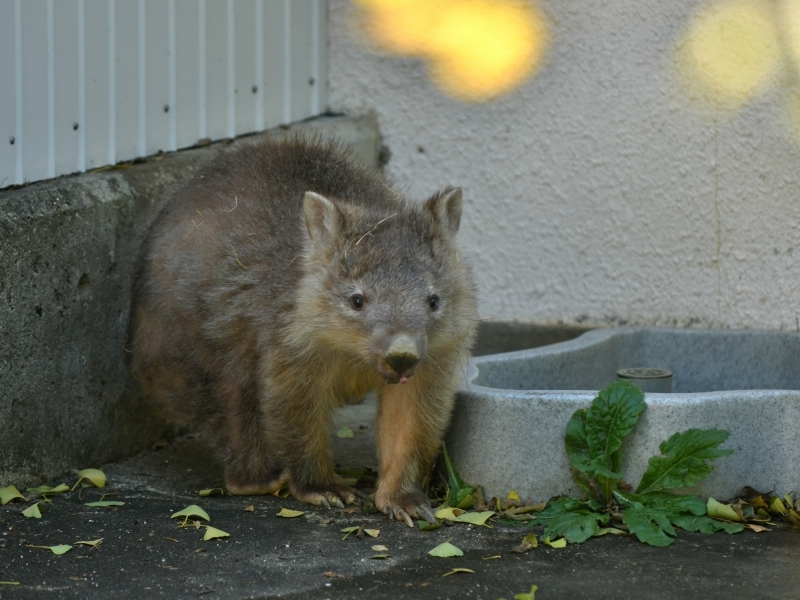 いつかまた、二人_a0164204_16454867.jpg