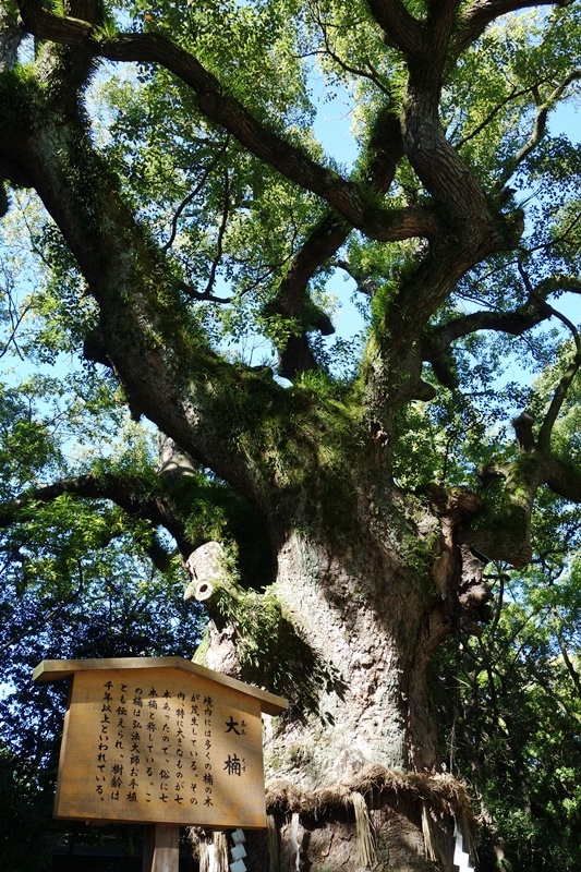 瀬戸内海クルーズ母娘二人旅～熱田神宮参詣＆あつた蓬莱軒のひつまぶし_d0133704_13555647.jpg