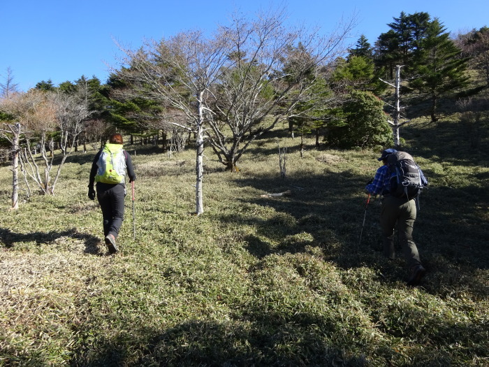 徳島県オコヤトコから牛の背～天狗塚_b0124306_22543579.jpg