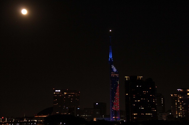 b0061108_20133783.jpg