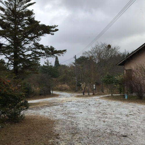 この冬初積雪しました_e0179508_10370131.jpg