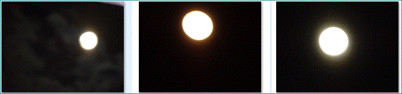 f0231709_02272356.gif