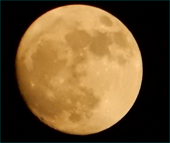 f0231709_02494176.gif