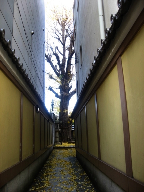 c0062511_22180105.jpg
