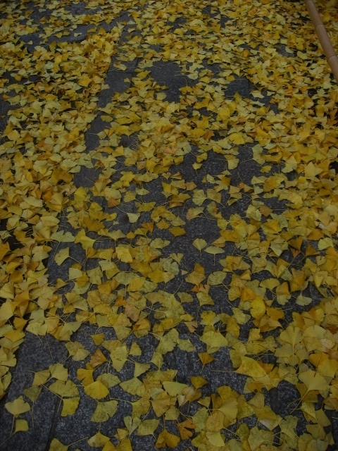 c0062511_22543284.jpg