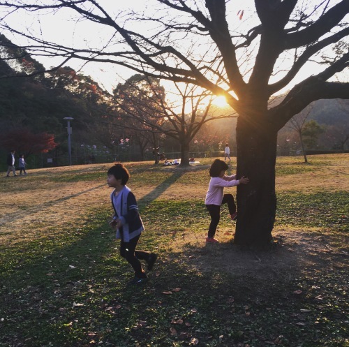夕方の公園 アトリエ バウ １級建築士事務所 ちょっと気になる家づくり 松山市 愛媛 建築家