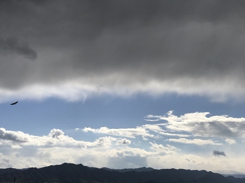 f0251618_20422829.jpg