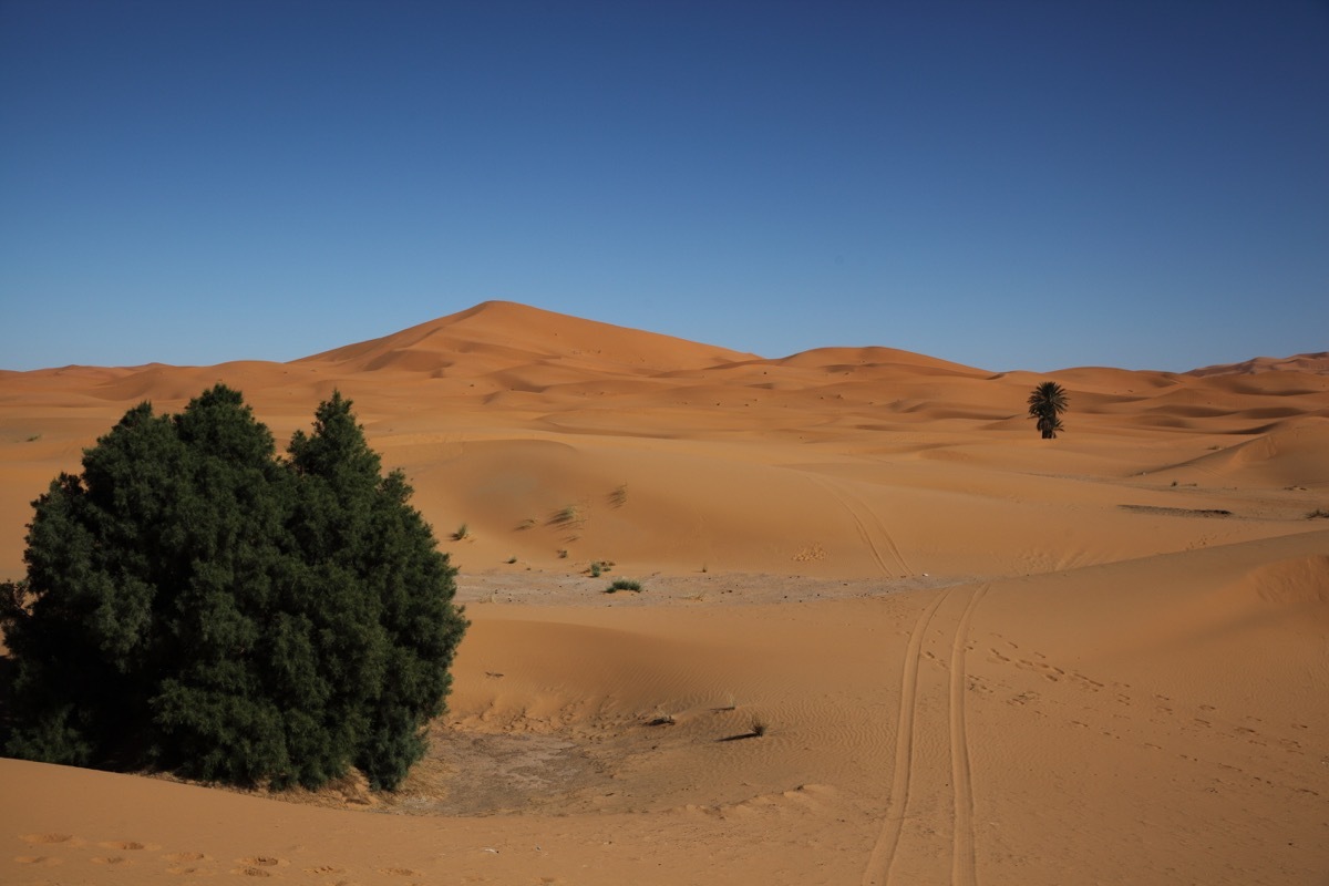モロッコの旅（４）　サハラ砂漠ツアー_c0249519_15460815.jpg