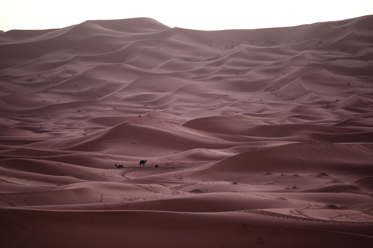 モロッコの旅（４）　サハラ砂漠ツアー_c0249519_15515338.jpg