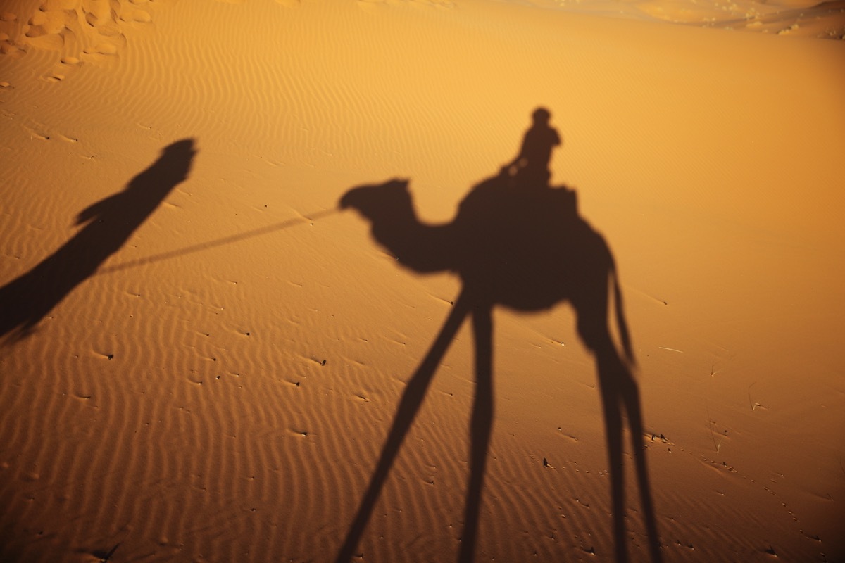 モロッコの旅（４）　サハラ砂漠ツアー_c0249519_15520386.jpg