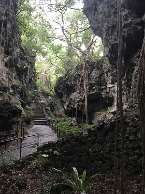 2017冬の沖縄旅行～Part1～_c0227720_01124446.jpg