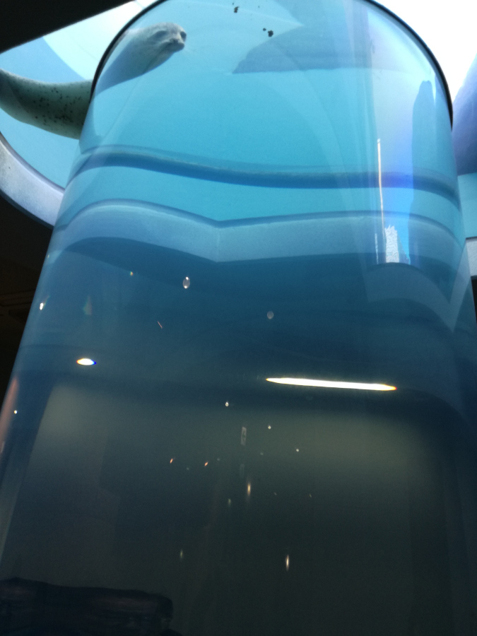 e0348420_04203976.jpg