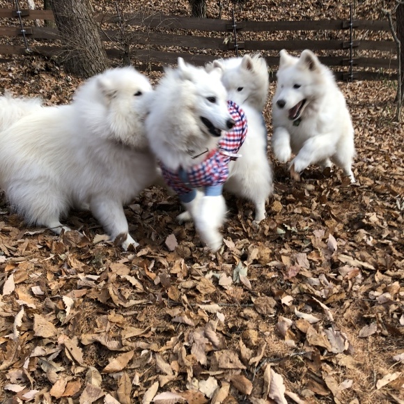 a0323521_21300131.jpeg