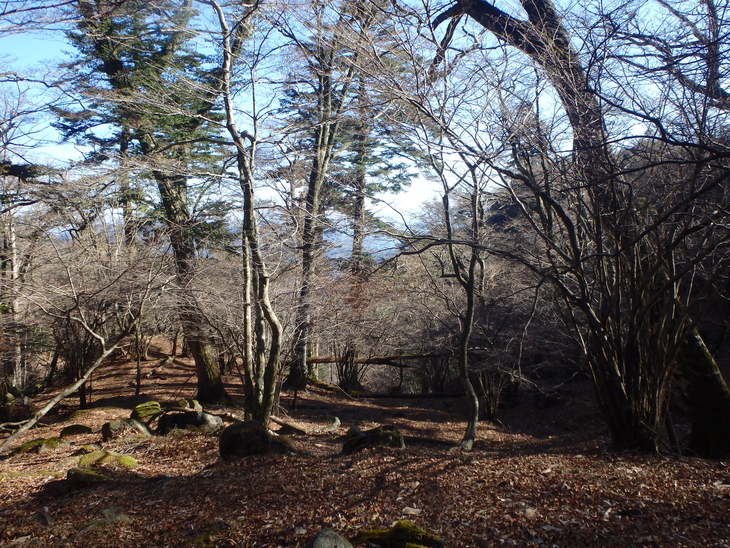 f0193521_13385676.jpg