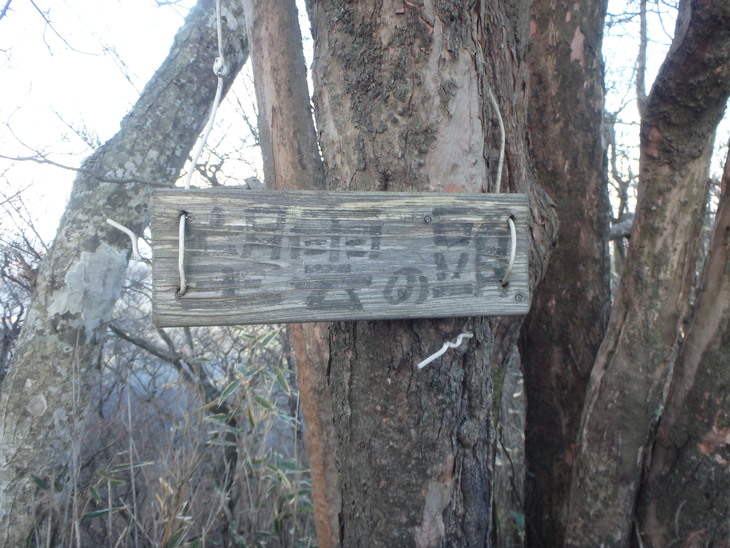 f0193521_14292812.jpg