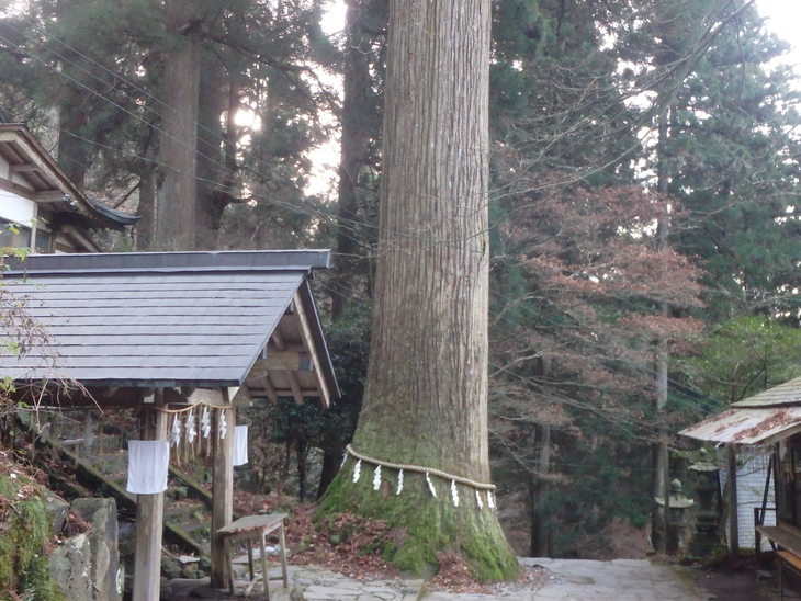 f0193521_1445552.jpg