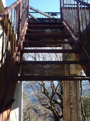 f0193521_1493615.jpg