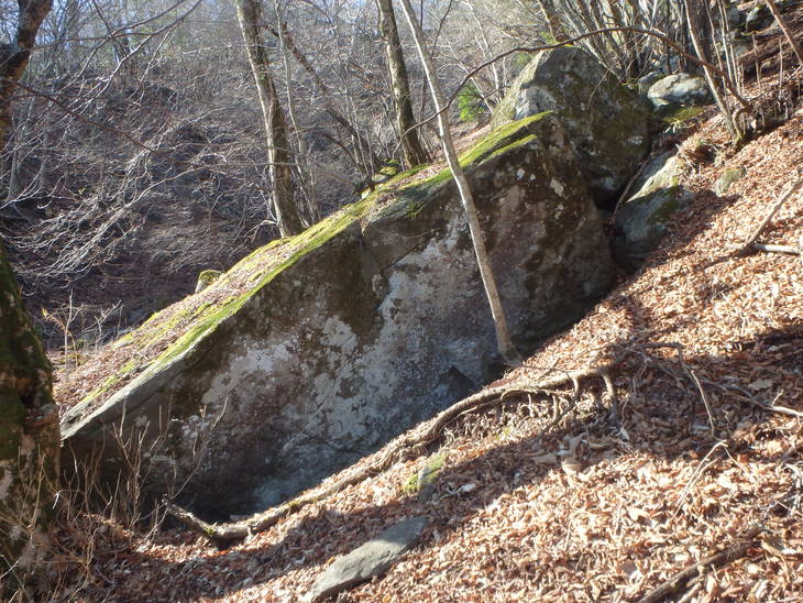 f0193521_8515961.jpg