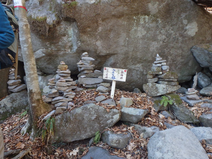 f0193521_855130.jpg