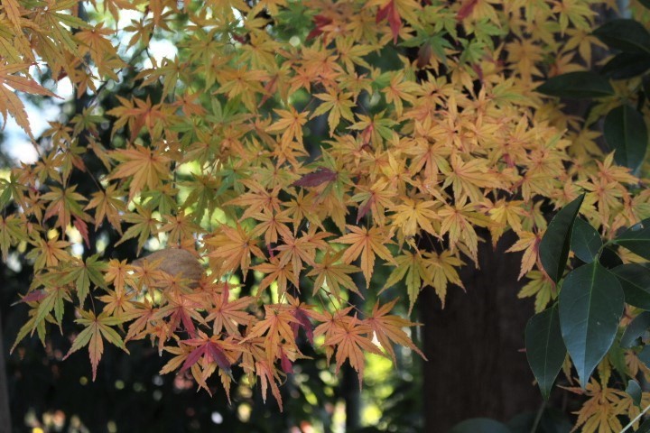 f0354923_00490305.jpg