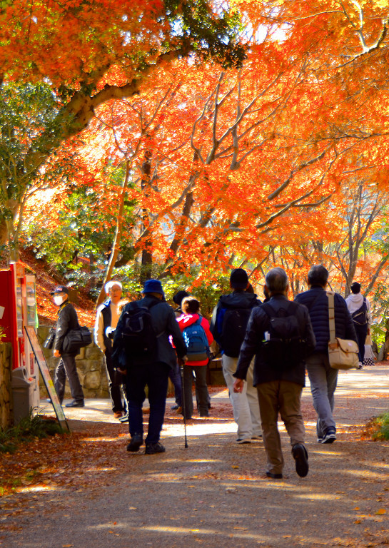 須磨離宮公園にて　 2017.12.3_d0073324_09334259.jpg