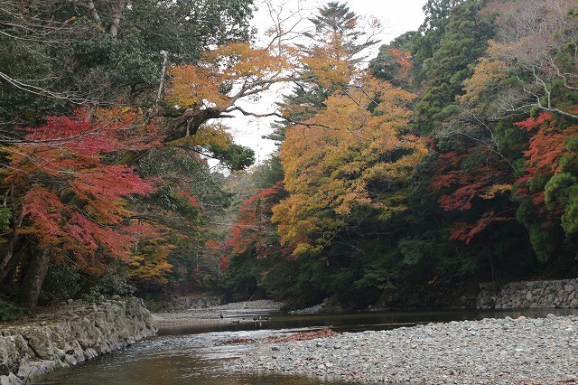 紅葉の伊勢神宮（その3）（撮影：11月26日）_e0321325_16250368.jpg